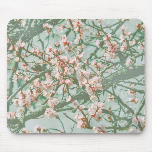 Kirschblüte Mousepad (Vorne)