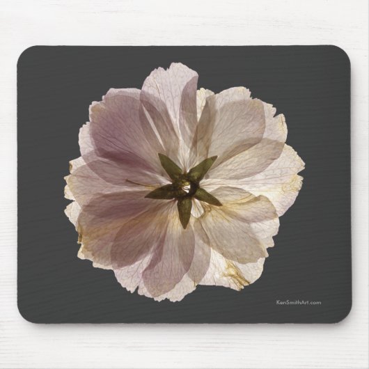 Kirschblüte Mousepad (Vorne)