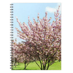 Kirschblüte Notizblock