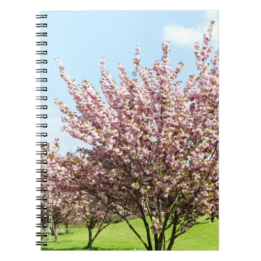 Kirschblüte Notizblock (Vorderseite)