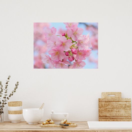 Kirschblüte Poster (Küche)