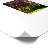 Kirschblüte poster (Ecke)