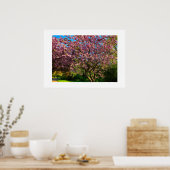 Kirschblüte poster (Küche)