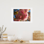 Kirschblüte poster (Küche)
