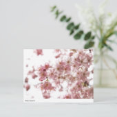 Kirschblüte Postkarte (Stehend Vorderseite)