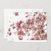 Kirschblüte Postkarte (Vorne/Hinten)