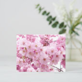 Kirschblüte Postkarte (Stehend Vorderseite)