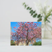 Kirschblüte Postkarte (Stehend Vorderseite)