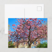 Kirschblüte Postkarte (Vorne/Hinten)