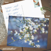 Kirschblüte Postkarte