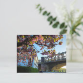 Kirschblüte postkarte (Stehend Vorderseite)