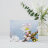 Kirschblüte Postkarte (Stehend Vorderseite)