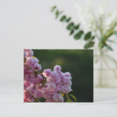 Kirschblüte postkarte (Stehend Vorderseite)