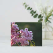 Kirschblüte postkarte (Stehend Vorderseite)