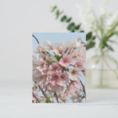 Kirschblüte Postkarte (Stehend Vorderseite)