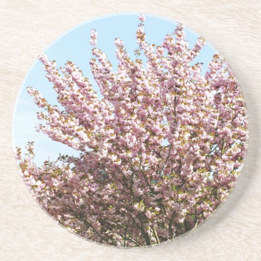 Kirschblüte Sandstein Untersetzer (Vorne)
