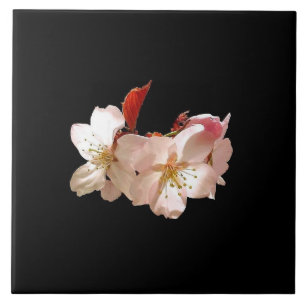 Kirschblüte Trivet Fliese