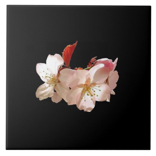 Kirschblüte Trivet Fliese (Vorderseite)