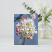 Kirschblüte und Bedeutung Postkarte (Stehend Vorderseite)
