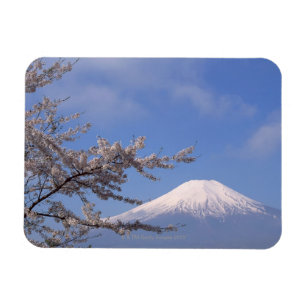 Kirschblüte und der Fujisan 2 Magnet