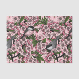 Kirschblüte und Kichererbsen auf rosa Seidenpapier