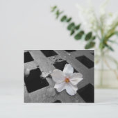 Kirschblüte und Stahl Postkarte (Stehend Vorderseite)