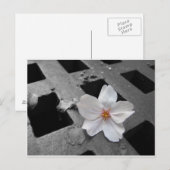Kirschblüte und Stahl Postkarte (Vorne/Hinten)