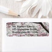 Kirschblüten 10 (Insitu)