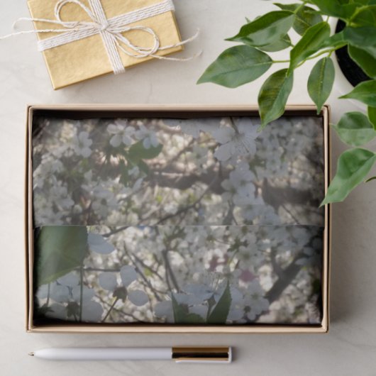 Kirschblüten 10lb Gewebepapier, weiß Seidenpapier (Geschenk)