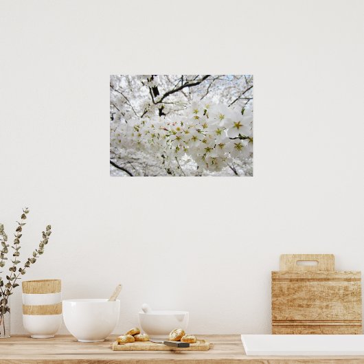 Kirschblüten 12 Poster (Küche)