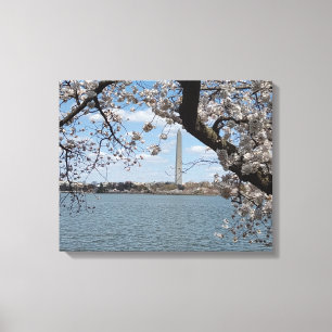 KIRSCHBLÜTEN #1 AUF LEINWAND 50,8 cm x 40,64 cm
