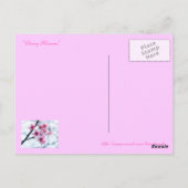 Kirschblüten - A Postkarte (Rückseite)