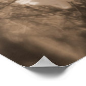 Kirschblüten am Himmel, Sepia Poster (Ecke)