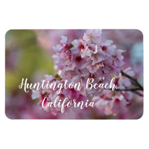 Kirschblüten am Huntington Beach Magnet