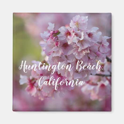Kirschblüten am Huntington Beach Magnet (Vorne)