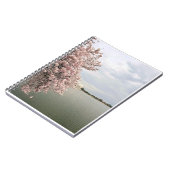 Kirschblüten am Tidal Basin Notizblock (Linke Seite)