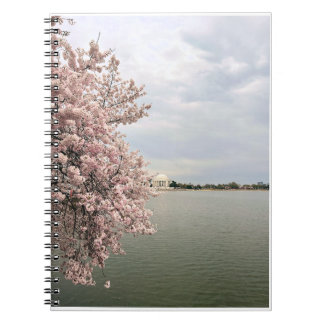Kirschblüten am Tidal Basin Notizblock