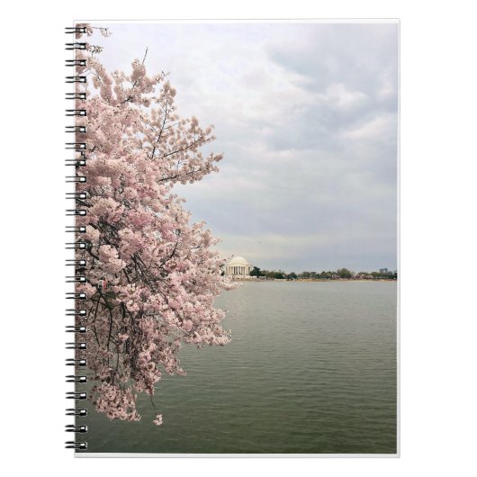 Kirschblüten am Tidal Basin Notizblock (Vorderseite)