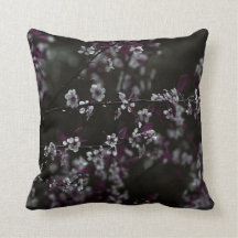 Kirschblüten auf dunkler Erde