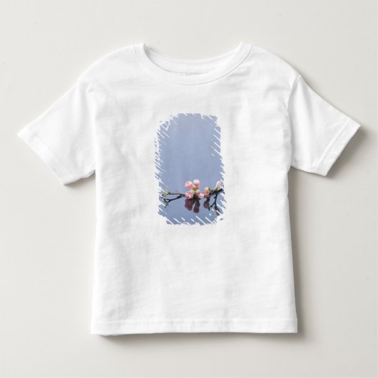 Kirschblüten auf Wasser Kleinkind T-shirt (Vorderseite)