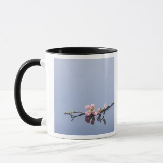 Kirschblüten auf Wasser Tasse (Links)