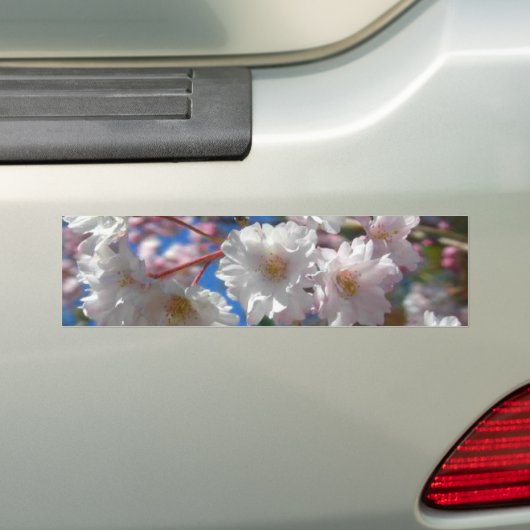 Kirschblüten Autoaufkleber (Auf Auto)