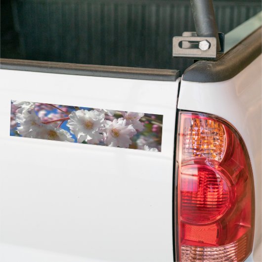 Kirschblüten Autoaufkleber (Auf Lkw)