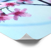 Kirschblüten - B Poster (Ecke)