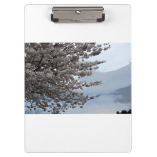 Kirschblüten-Baum-Kunst-Weiß-Klemmbrett Klemmbrett