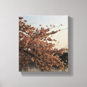 Kirschblüten-Baum-Leinwand Leinwanddruck