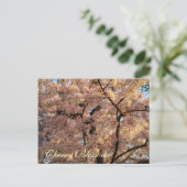Kirschblüten-Baum-Postkarte Postkarte (Stehend Vorderseite)