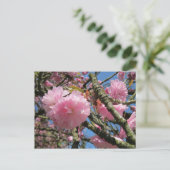 Kirschblüten, Blauer Himmel Postkarte (Stehend Vorderseite)