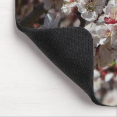 Kirschblüten blühen in Prescott, Arizona Mousepad (Ecke)