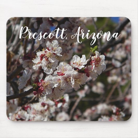 Kirschblüten blühen in Prescott, Arizona Mousepad (Vorne)